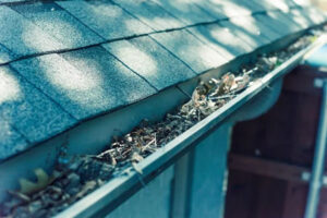 Gutter cleaning schedule for a Seattle home
